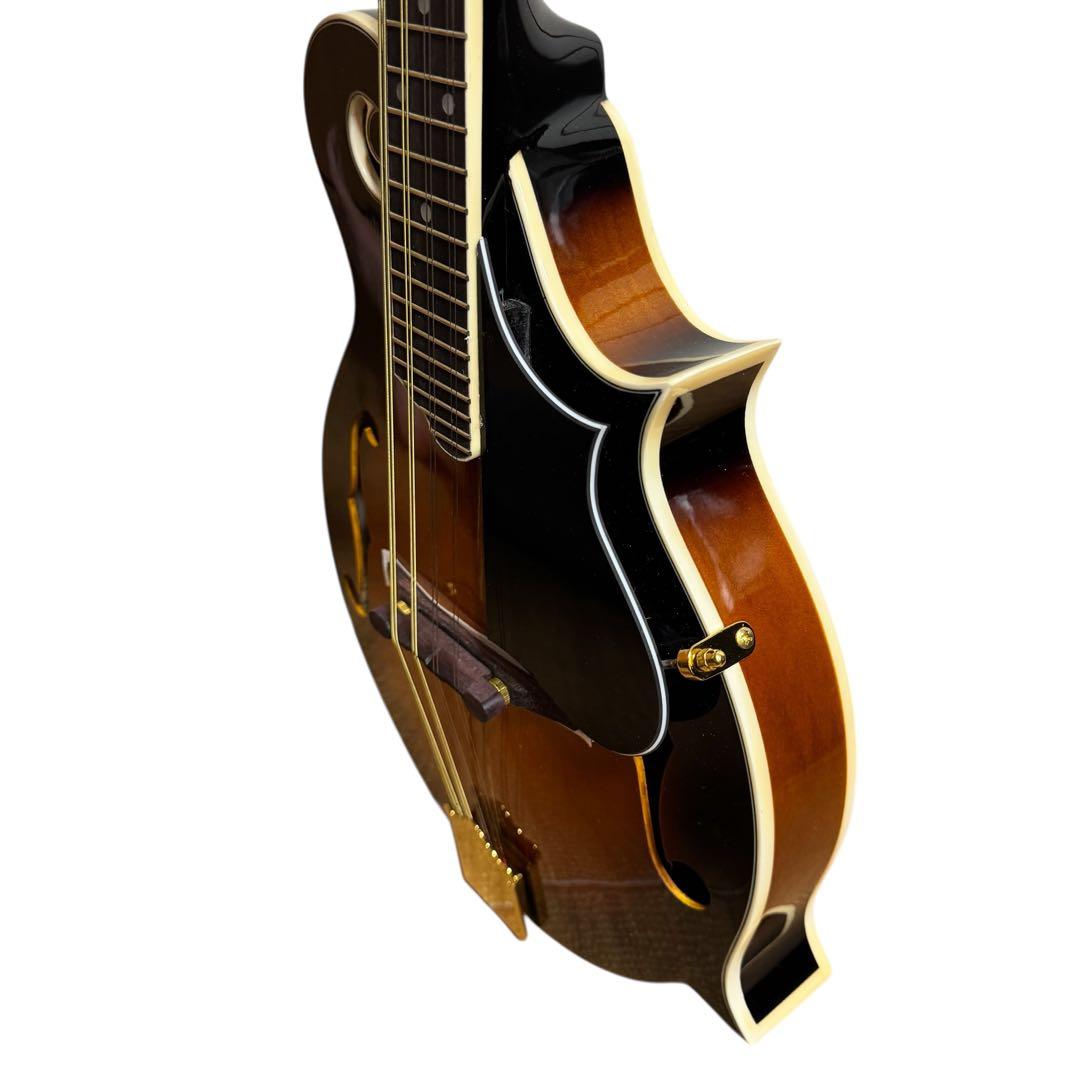 【美品】ARIA AM-40 フラットマンドリン ハードケース付き