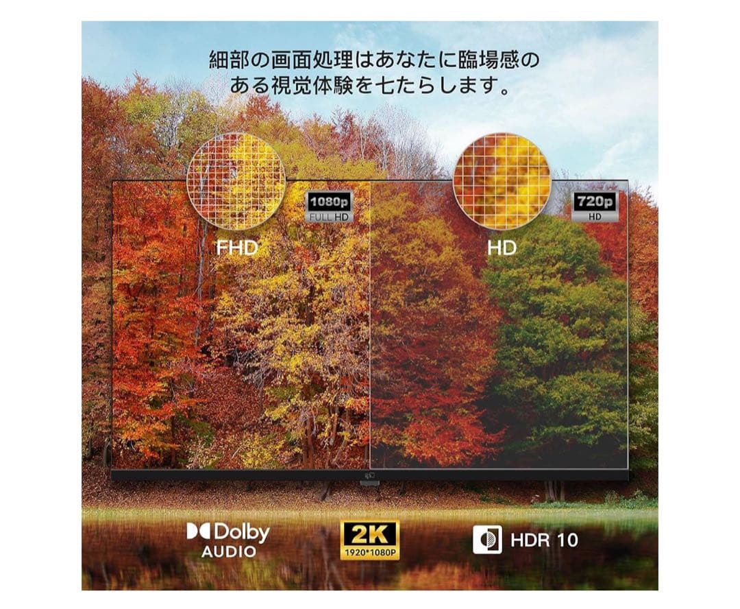 FPD チューナーレス テレビ 43インチ