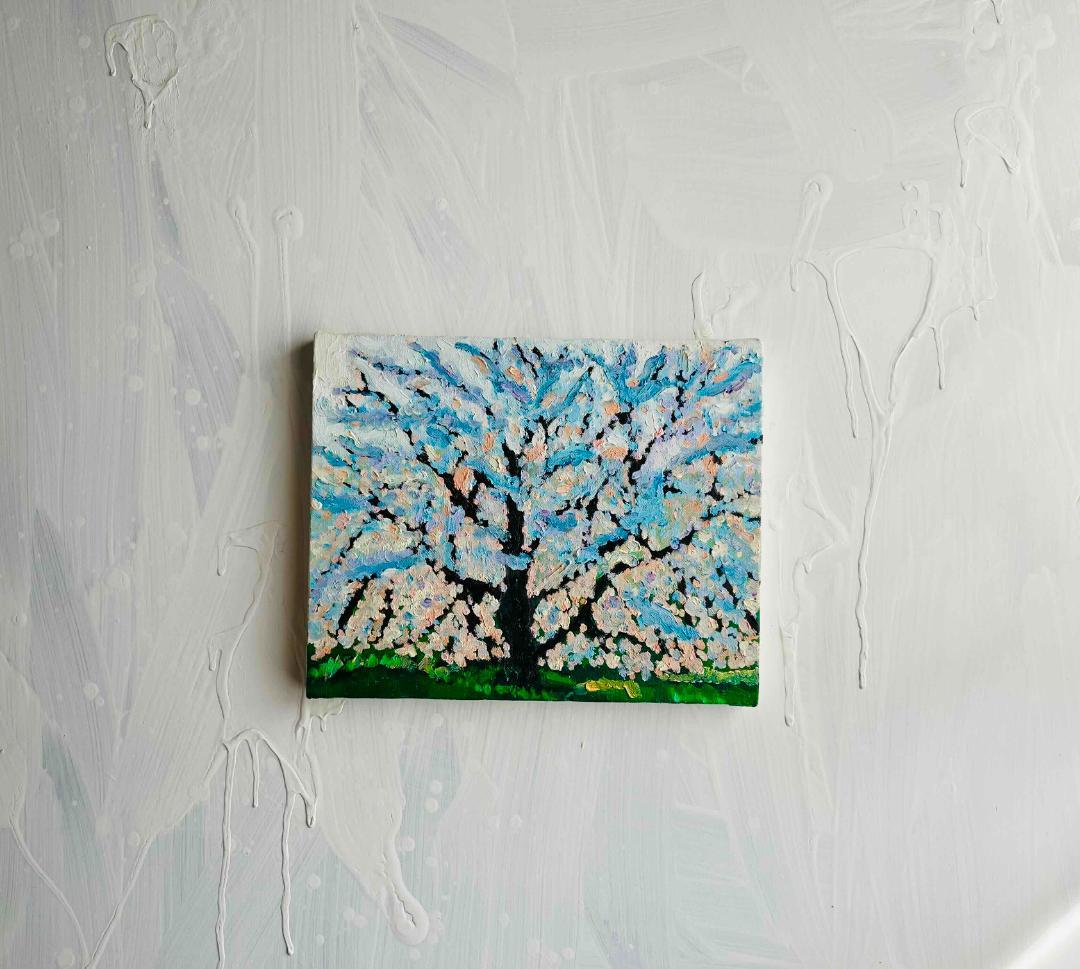 22×27㎝「朝の桜３」油彩・原画・F3