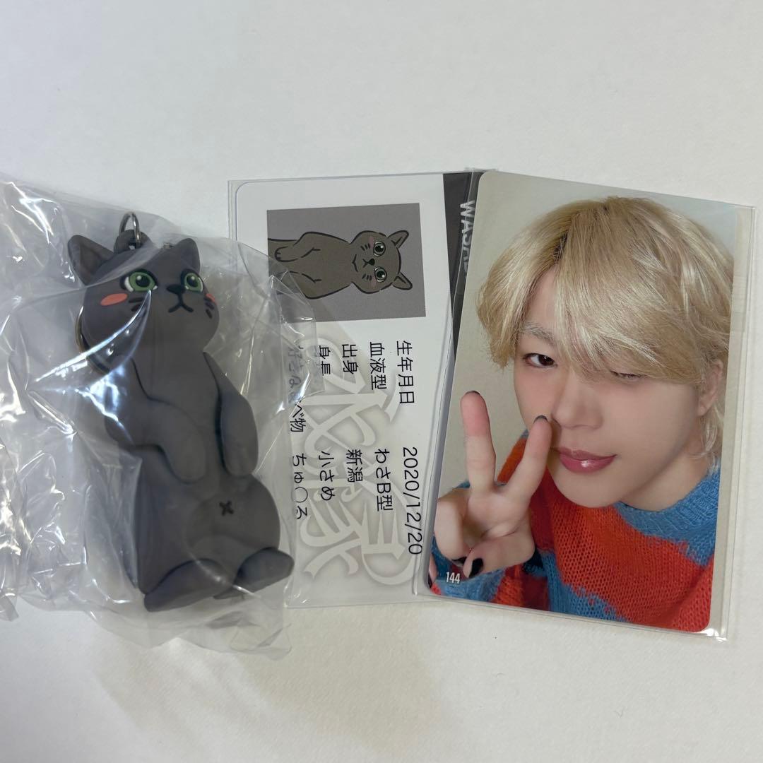 ぷちじぇお わさび 木全翔也 JO1