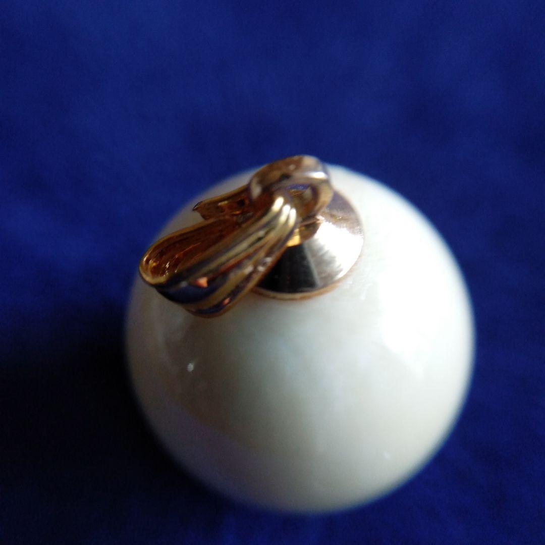 鯨歯　マッコウクジラ　牙玉　特大約17㎜　②