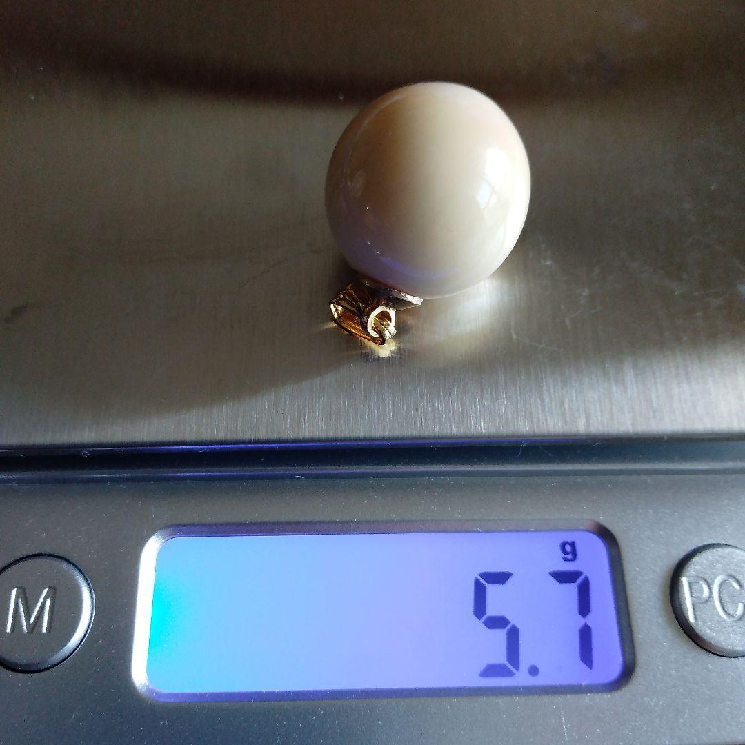 鯨歯　マッコウクジラ　牙玉　特大約17㎜　②