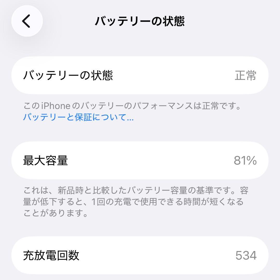 【ロデオ】iPhone15 256GB本体