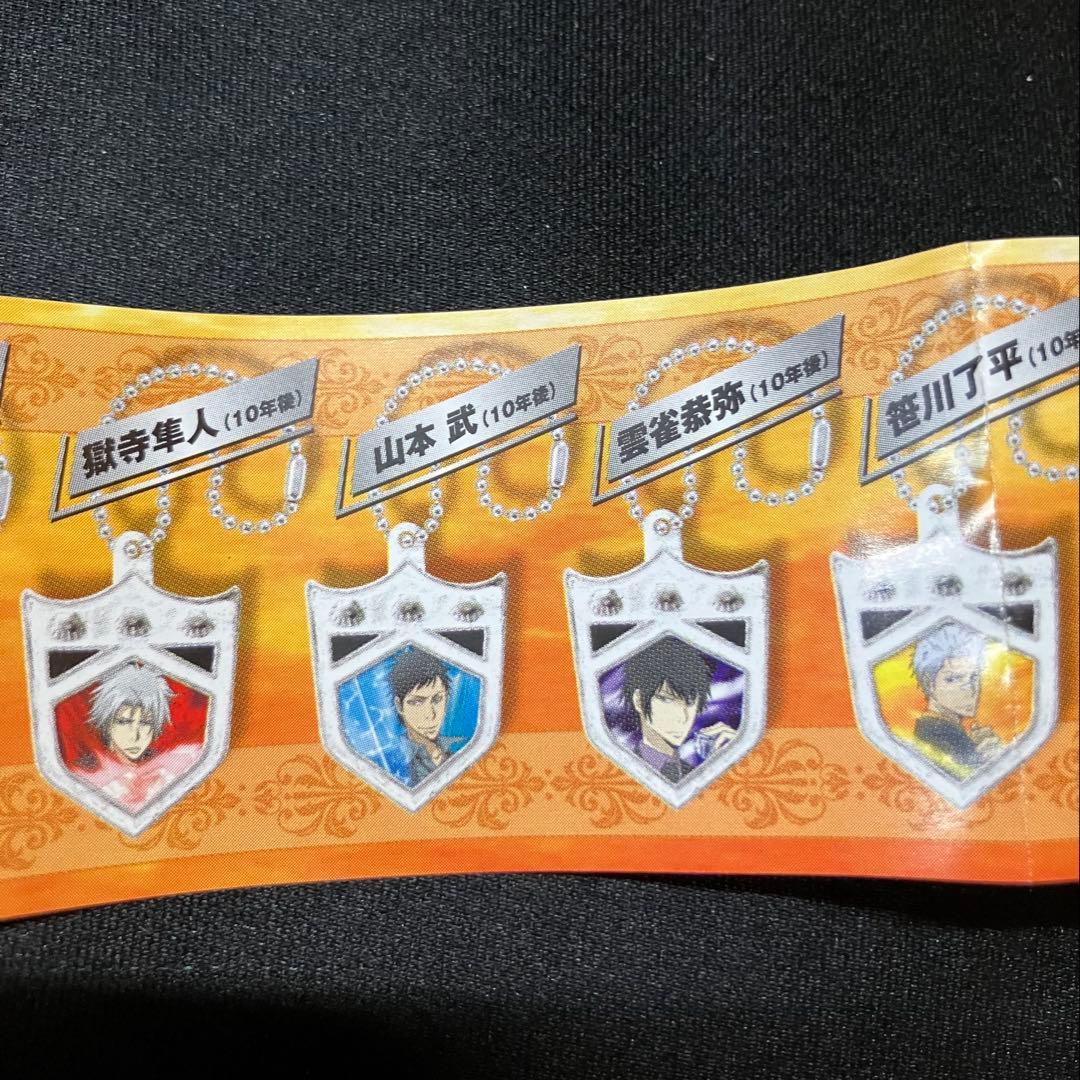 家庭教師ヒットマン　リボーン　ボンゴレメタルアートマスコット 22個　B2282