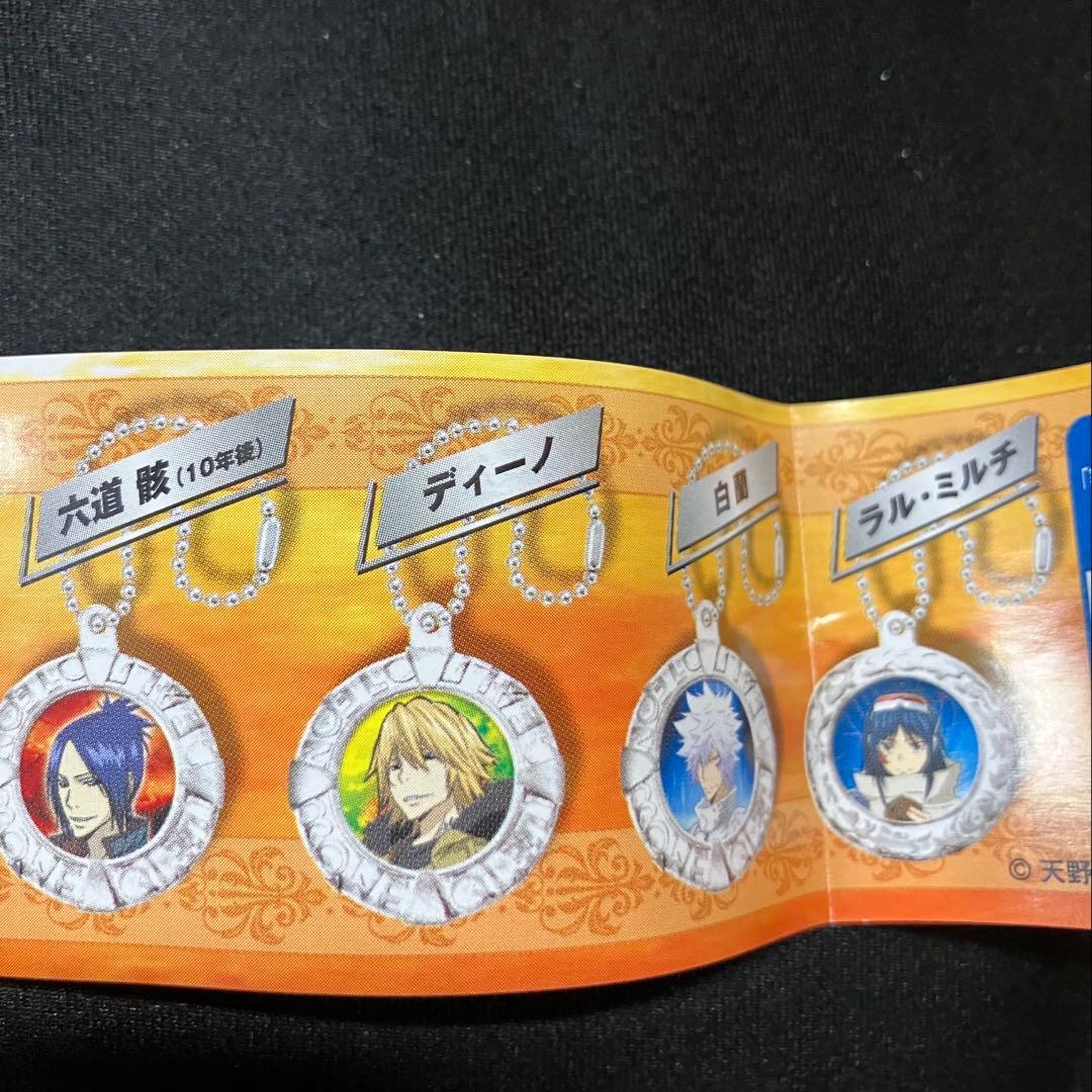 家庭教師ヒットマン　リボーン　ボンゴレメタルアートマスコット 22個　B2282