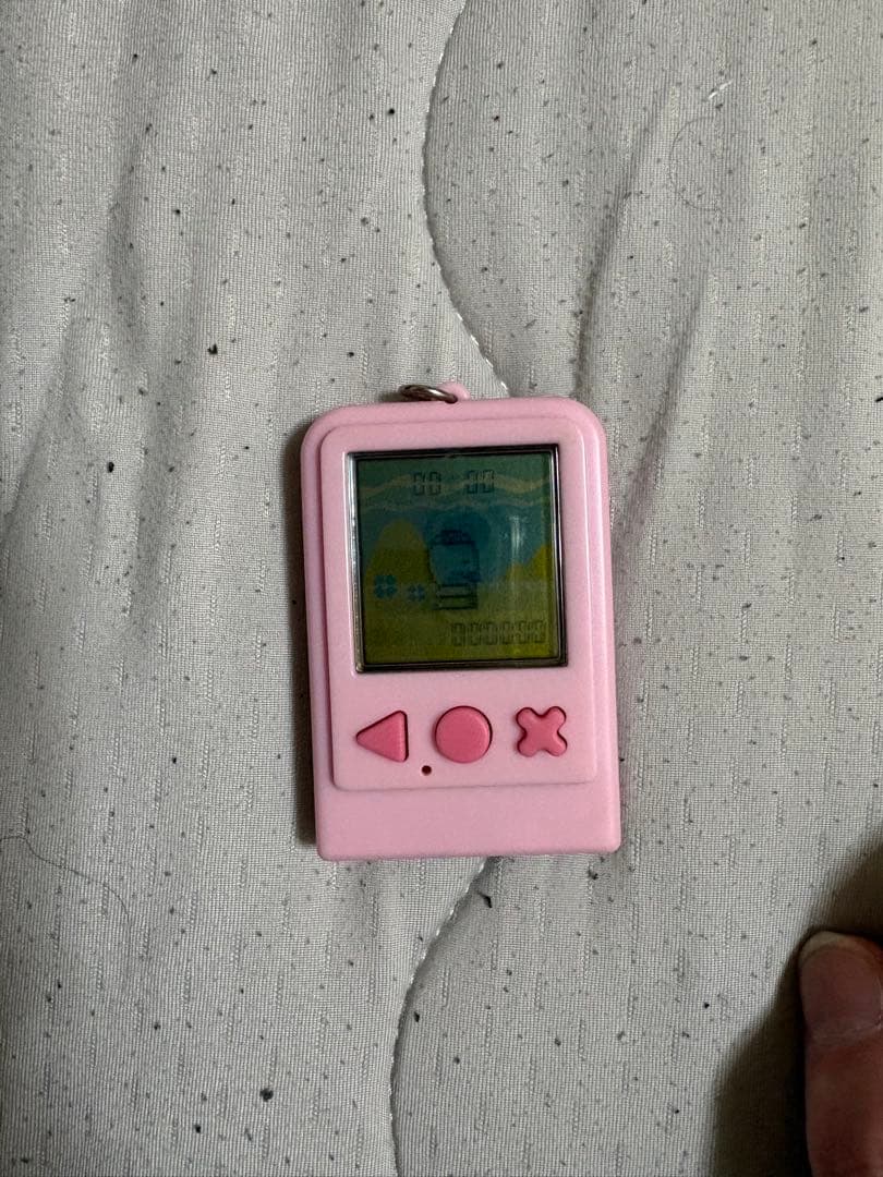 ちゃまもり　ゆか