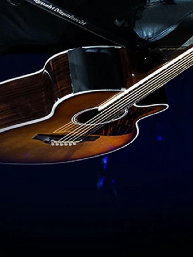 タカミネ500カスタムwithContact Pickup 長渕剛さん使用