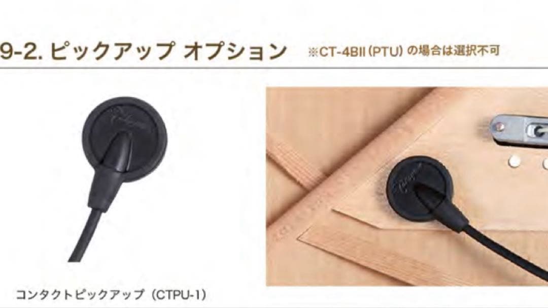 タカミネ500カスタムwithContact Pickup 長渕剛さん使用