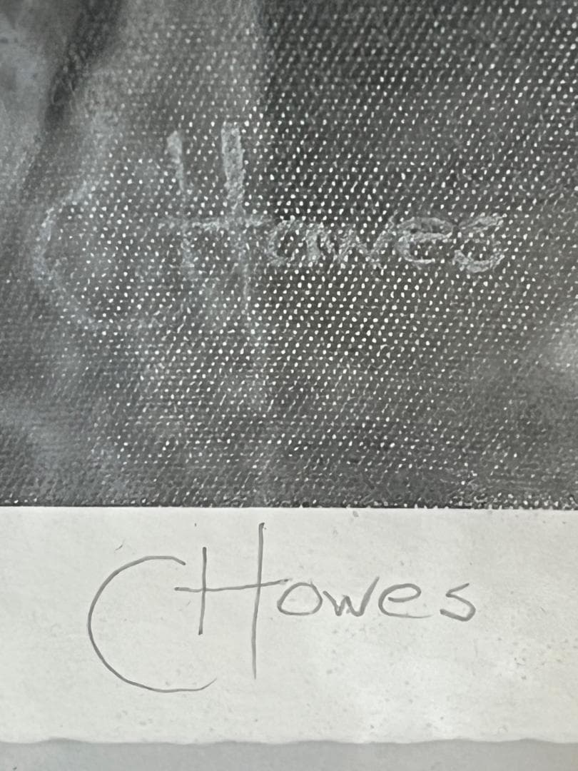 シルクスクリーン　「アメリカ　ビッグ５」動物画 額装済み