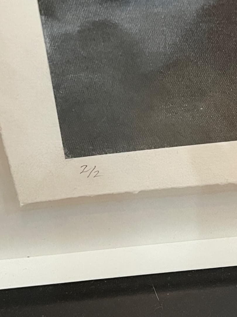 シルクスクリーン　「アメリカ　ビッグ５」動物画 額装済み