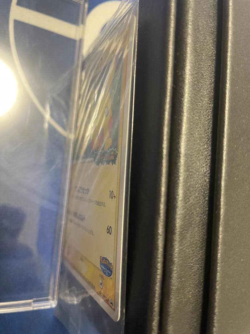 未開封 ポケパークのピカチュウ 043/pcg-p プロモ