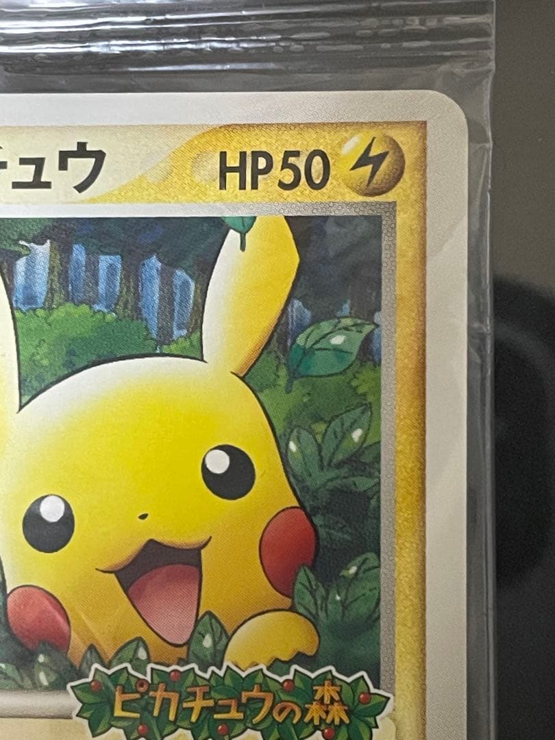 未開封 ポケパークのピカチュウ 043/pcg-p プロモ