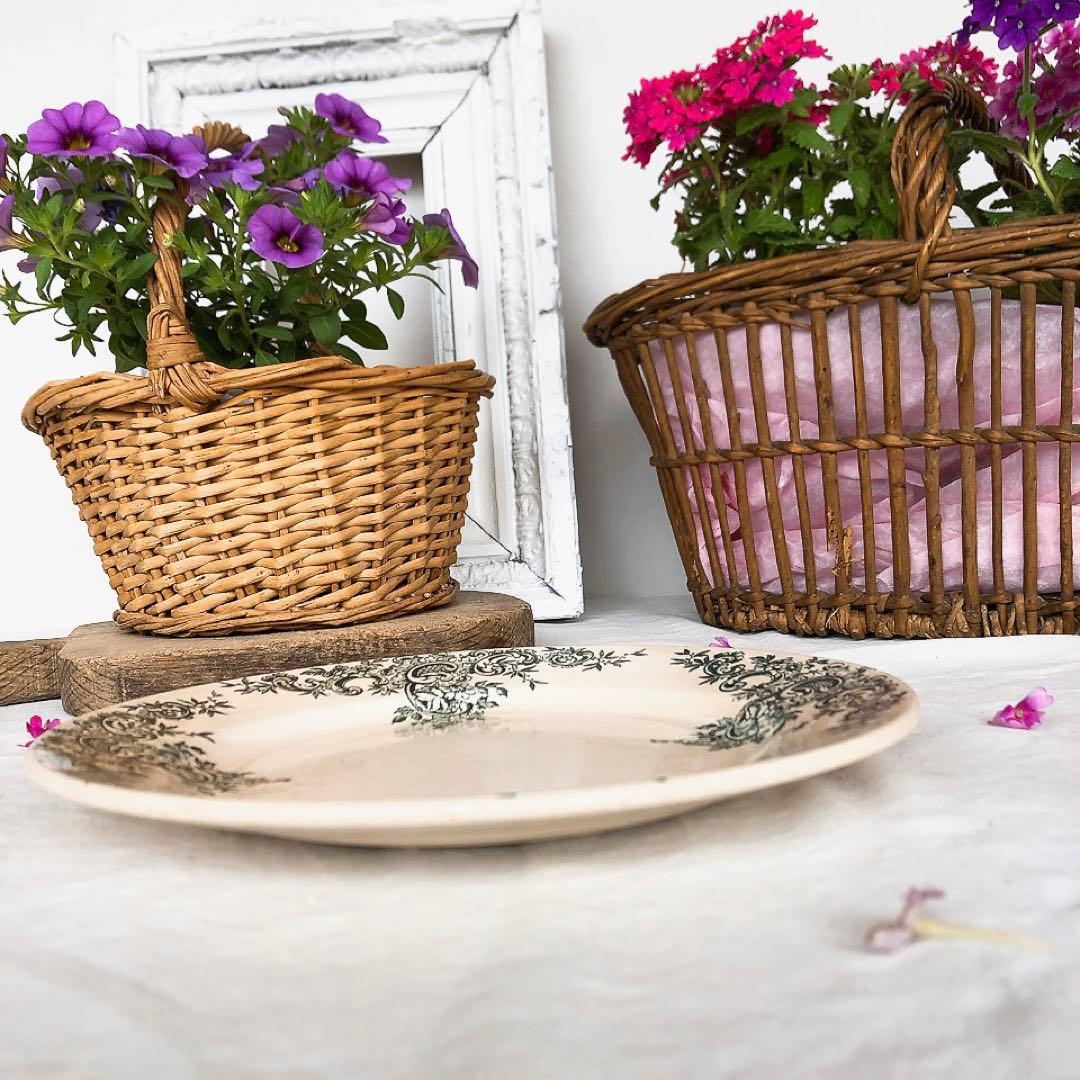 専用　ショワジールロワ ルイ15 ディナープレート A　フランスアンティーク食器