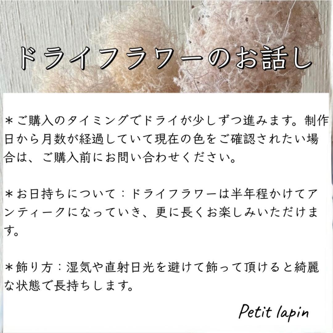 淡色 ナチュラル ドライフラワーリース MS 18cm＊ 針葉樹 グリーンリース