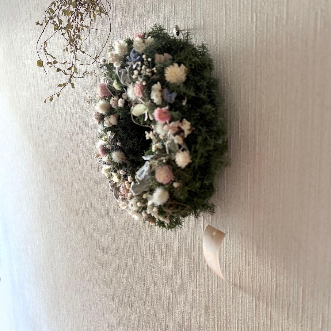 淡色 ナチュラル ドライフラワーリース MS 18cm＊ 針葉樹 グリーンリース