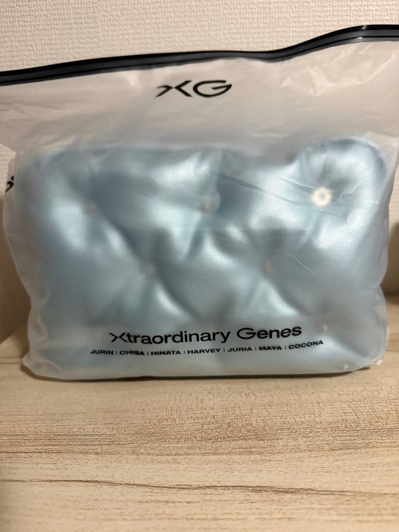 XGキルティング　ポーチ　LIVEグッズ　新品未使用