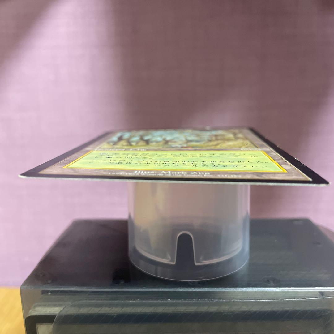 ガイアの揺籃の地　日本語版