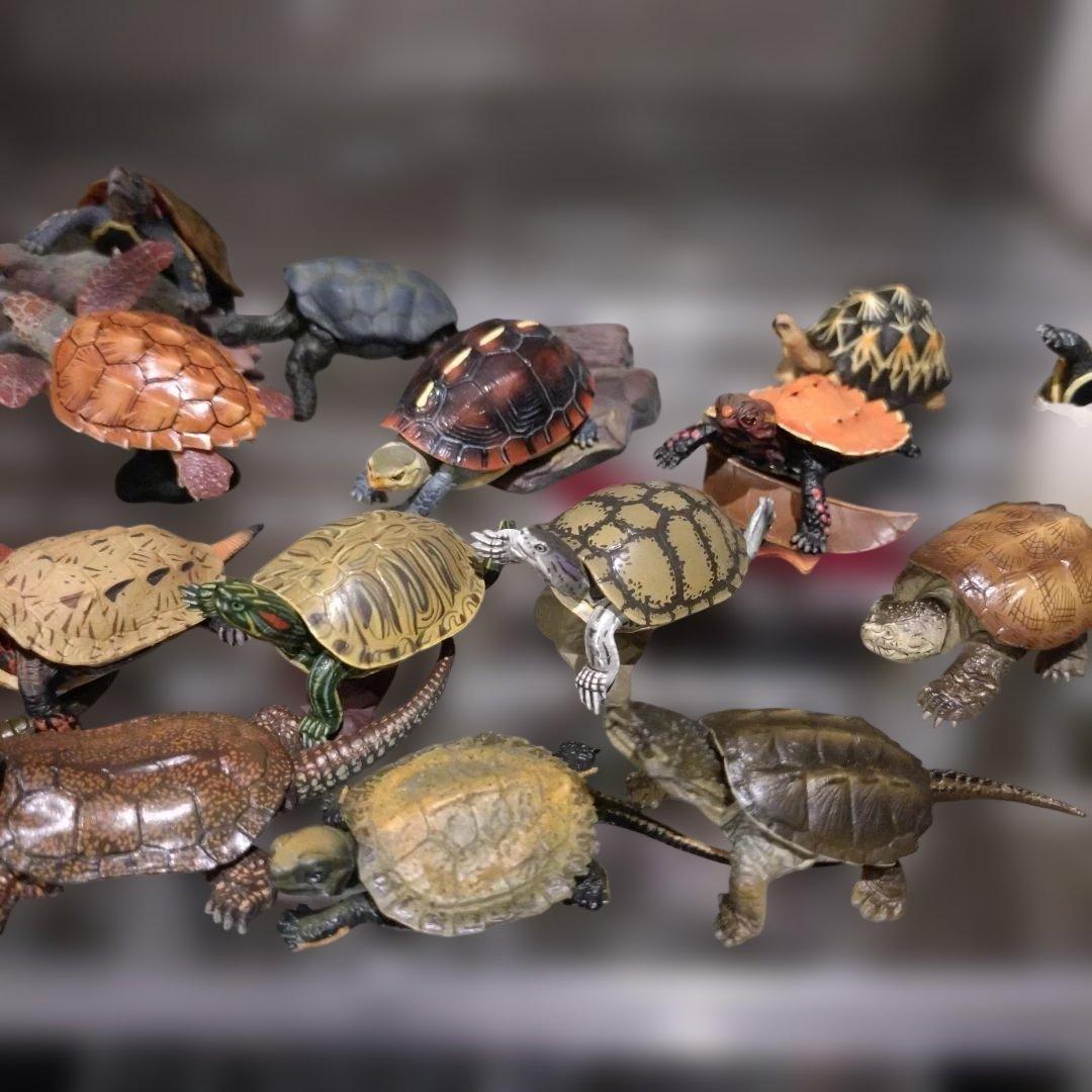 カメフィギュアオオアタマガメワニガメカミツキガメアカミミガメリュウキュウヤマガメ