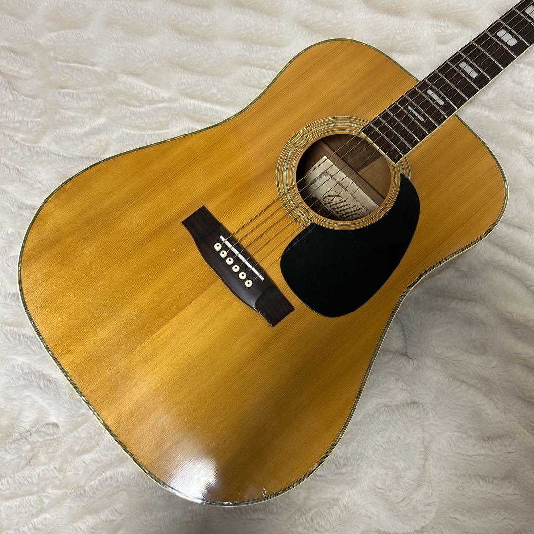 Tomson D-38 トムソン ジャパンヴィンテージ ハードケース付き