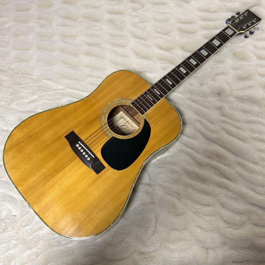 Tomson D-38 トムソン ジャパンヴィンテージ ハードケース付き