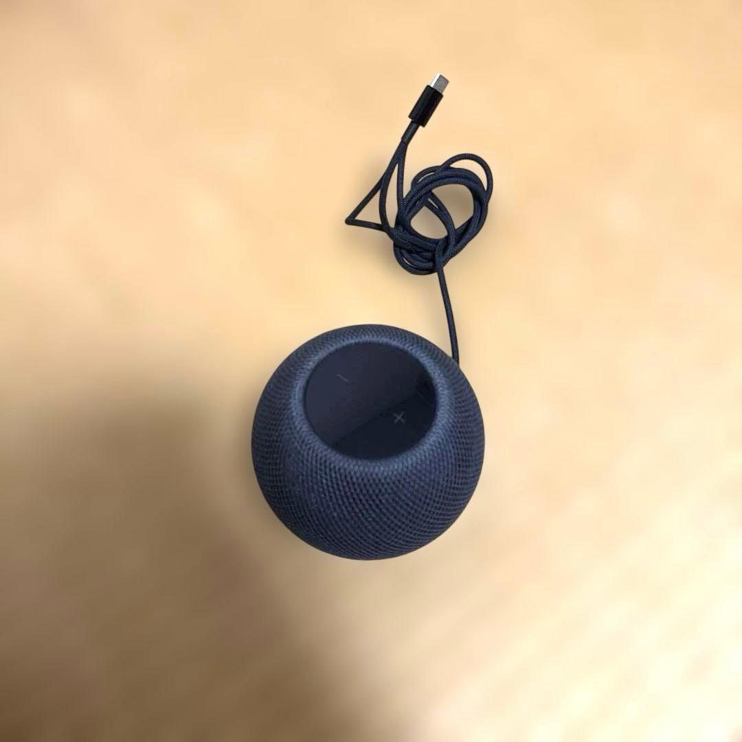 Apple Pod mini 2020年