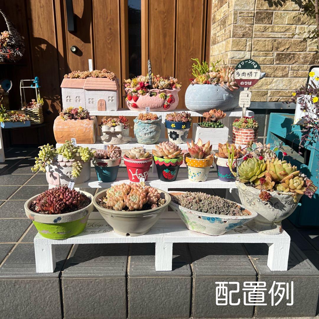 多肉植物棚　多肉花台　フラワースタンド　プランターラック　寄せ植え　ガーデニング
