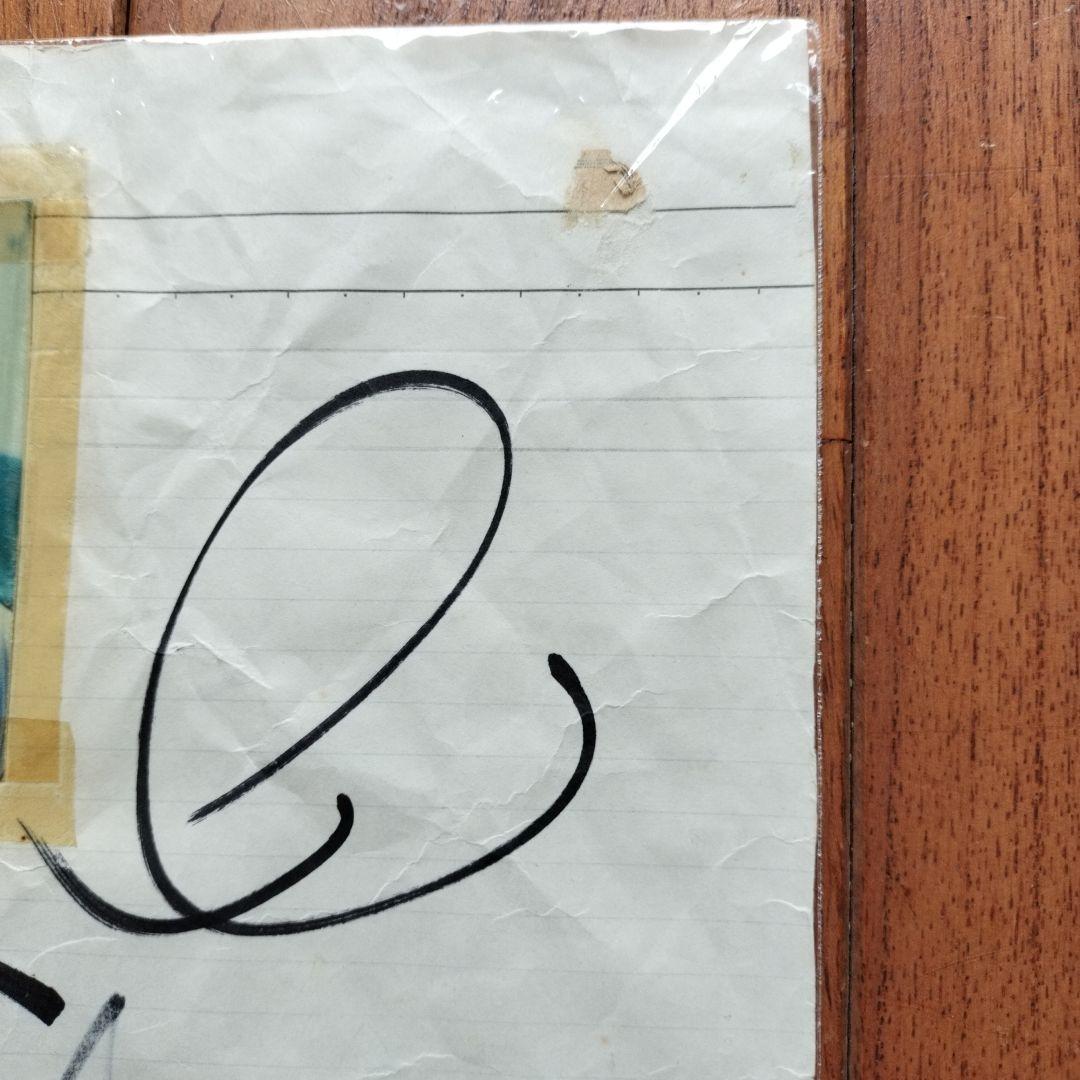 「貴重なお品」ジーコ　アルトゥール・アントゥネス・ブラ　生写真　サインあり