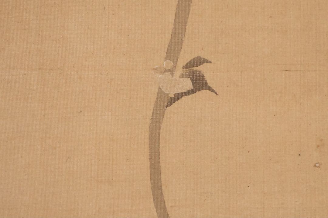 【模写】日本画 松村景文 長員 朝顔 画賛 絹本 掛軸 四条派 江戸 MB322