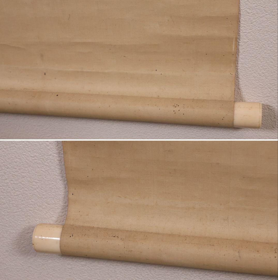 【模写】日本画 松村景文 長員 朝顔 画賛 絹本 掛軸 四条派 江戸 MB322