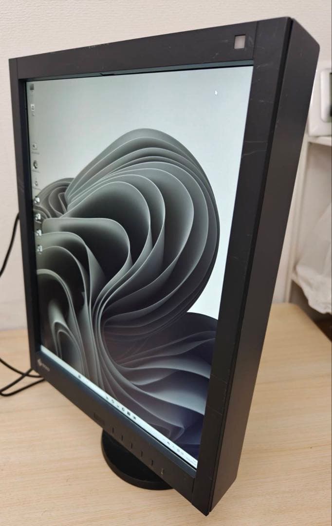 EIZO RadiForce GX540 5MP モノクロ 医用モニター