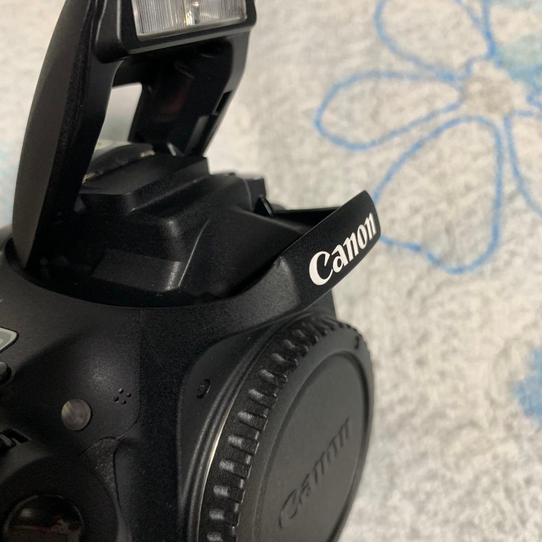 【CANON】EOS8000D【ダブルズームキット】いろいろセット