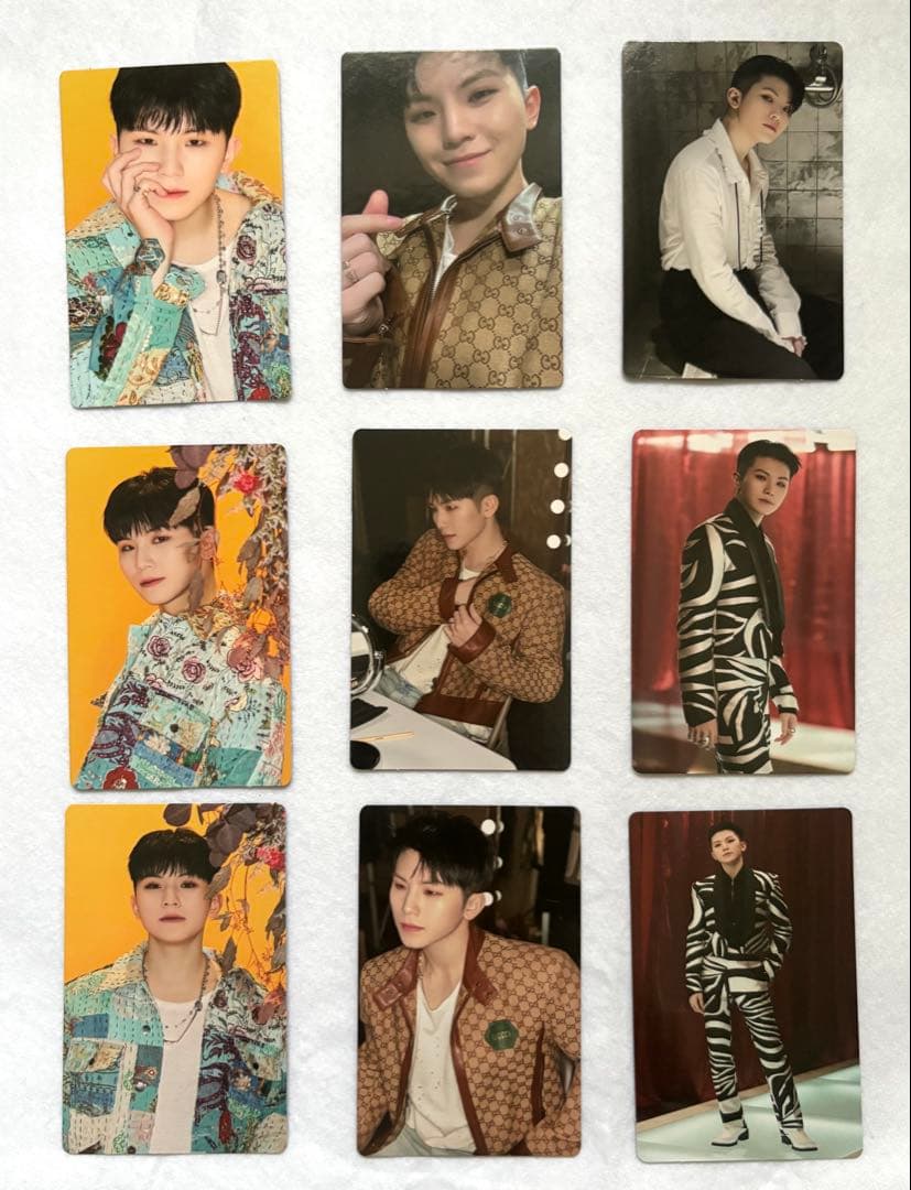 SEVENTEEN WOOZI ウジ Ruby トレカ18枚