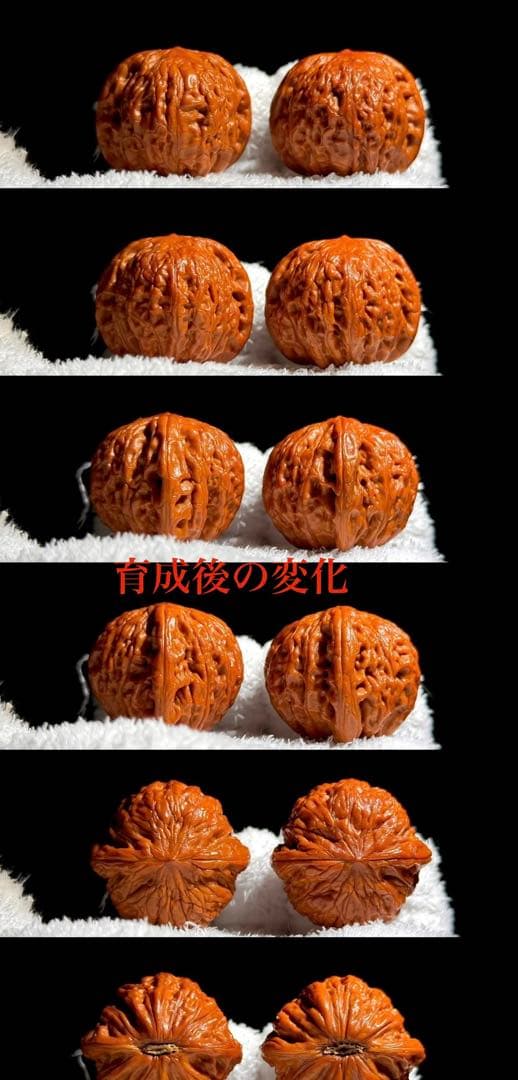 【鉄槌妹妹】遊ぶクルミ・遊ぶ胡桃　文玩核桃
