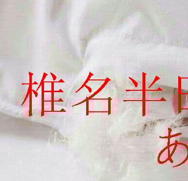 シングル　2キロ 保温 暖かい ホワイトグースダウン 冬布団&amp;gt;Y