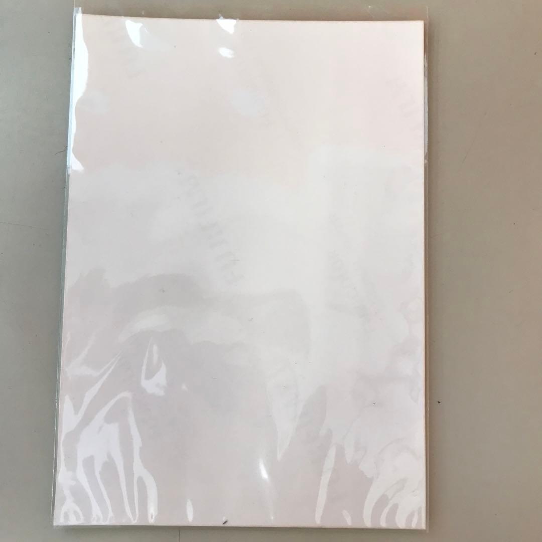 乃木坂46 阪口珠美　直筆サイン入り プリントカード プリカ バラ売り不可