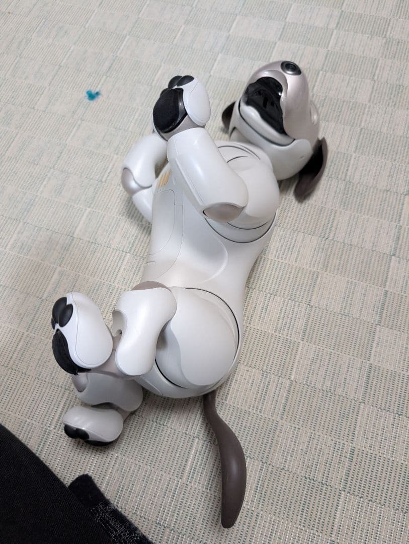 ソニー aibo アイボ ペットロボット 家電 ERS-1000 【中古】