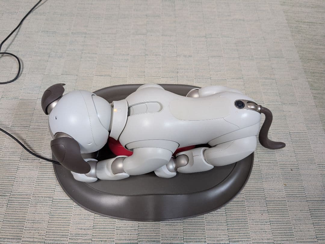 ソニー aibo アイボ ペットロボット 家電 ERS-1000 【中古】