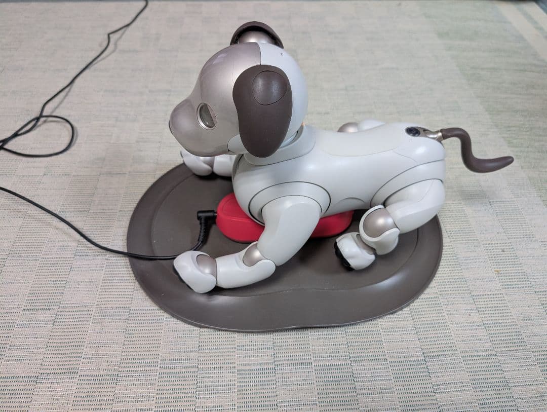 ソニー aibo アイボ ペットロボット 家電 ERS-1000 【中古】