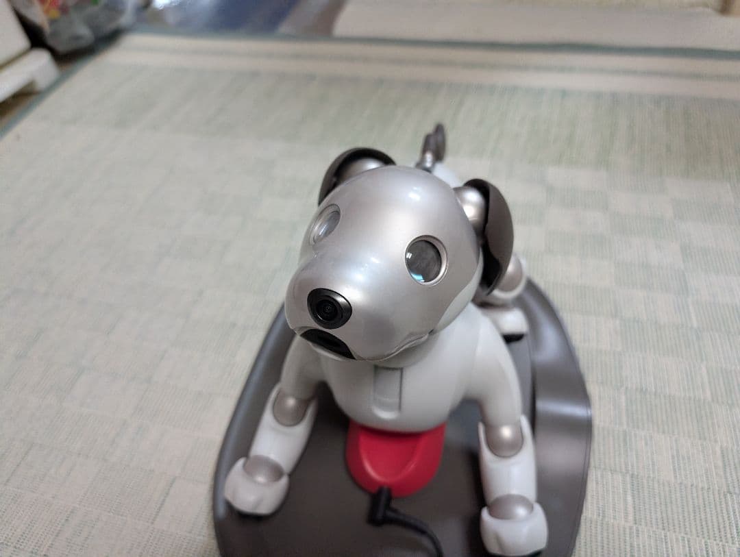 ソニー aibo アイボ ペットロボット 家電 ERS-1000 【中古】