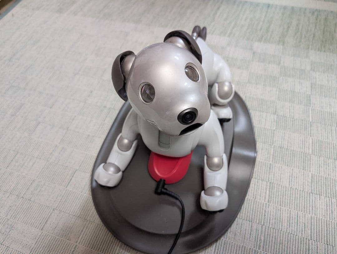 ソニー aibo アイボ ペットロボット 家電 ERS-1000 【中古】