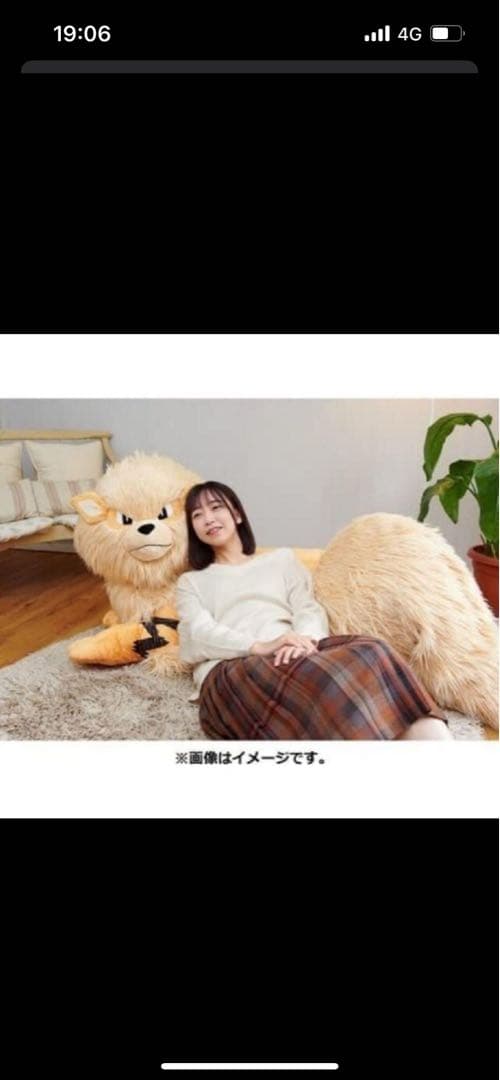 ポケモンセンター限定 ポケモン ぬいぐるみ 添い寝 ウインディ【完全受注生産品】