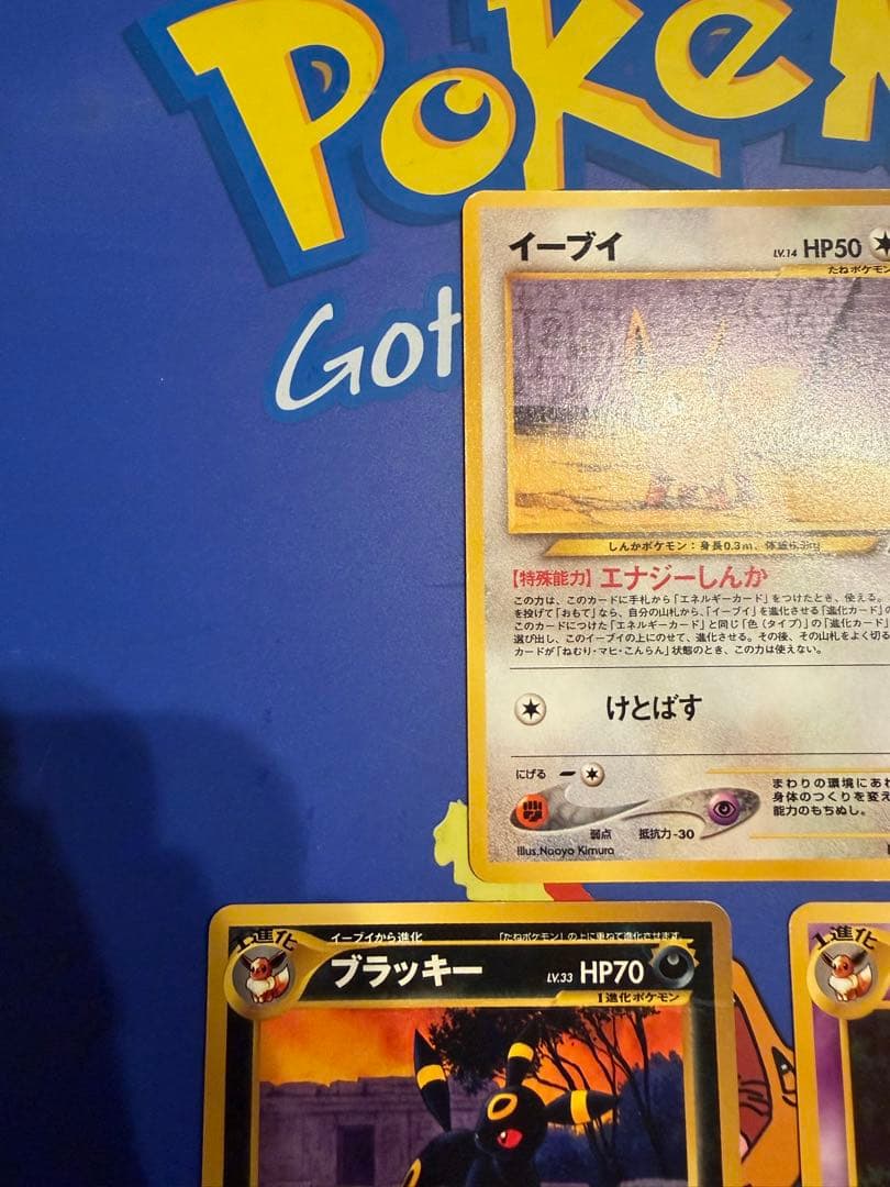 イーブイ　ブラッキー　エーフィー　3枚セット　プレミアムファイル2