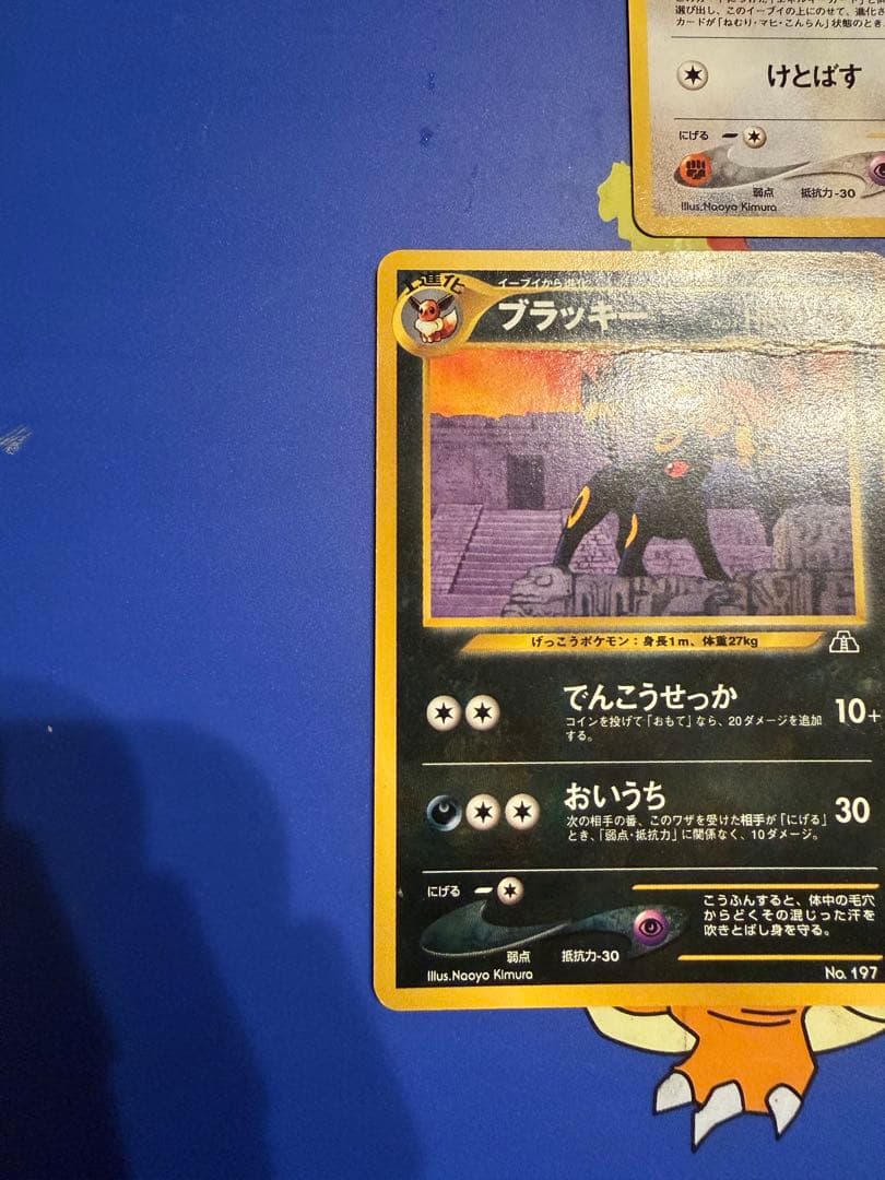 イーブイ　ブラッキー　エーフィー　3枚セット　プレミアムファイル2