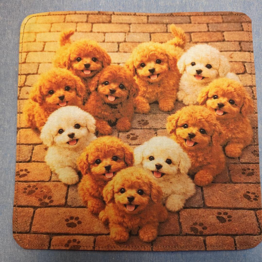 ご確認用　チョコ　ハンカチ　ダックスちゃん柄2/20