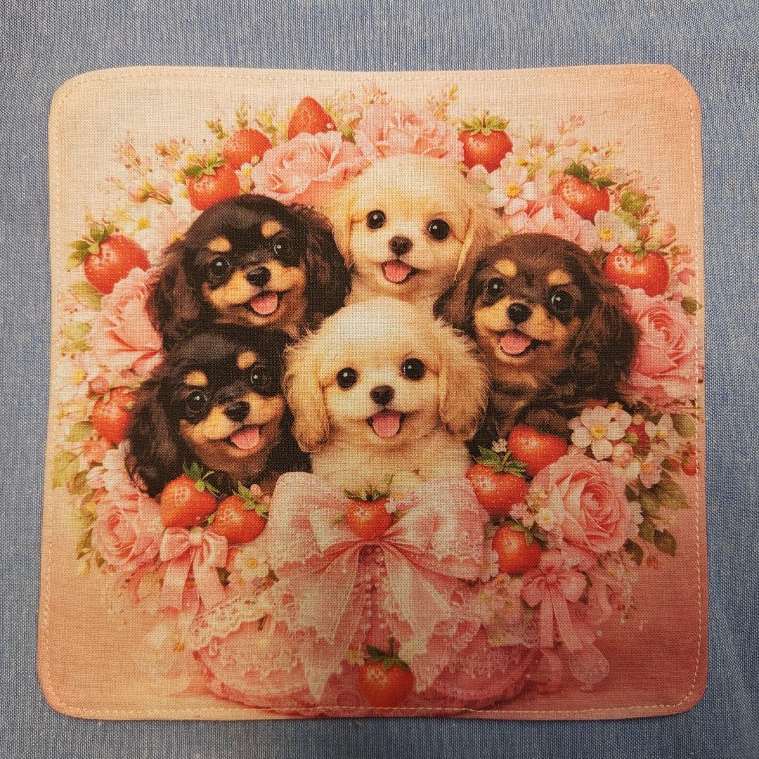 ご確認用　チョコ　ハンカチ　ダックスちゃん柄2/20