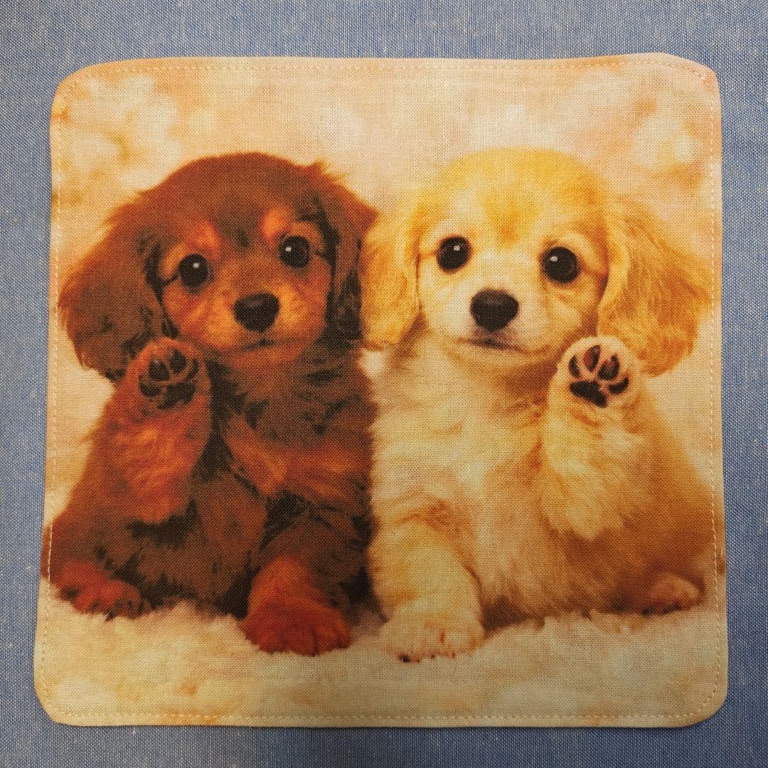 ご確認用　チョコ　ハンカチ　ダックスちゃん柄2/20