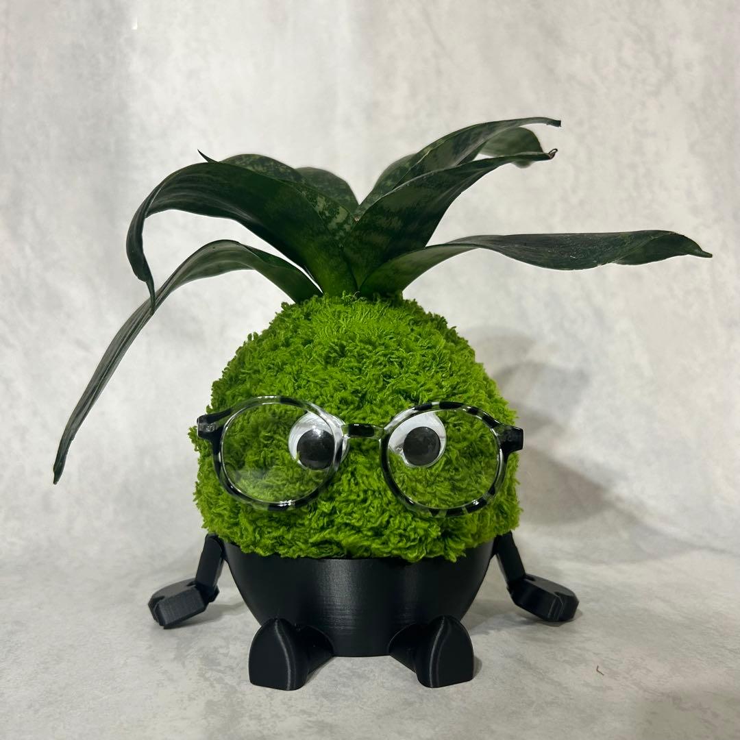 デカモン(オリジナル苔玉モンスター)グリーン