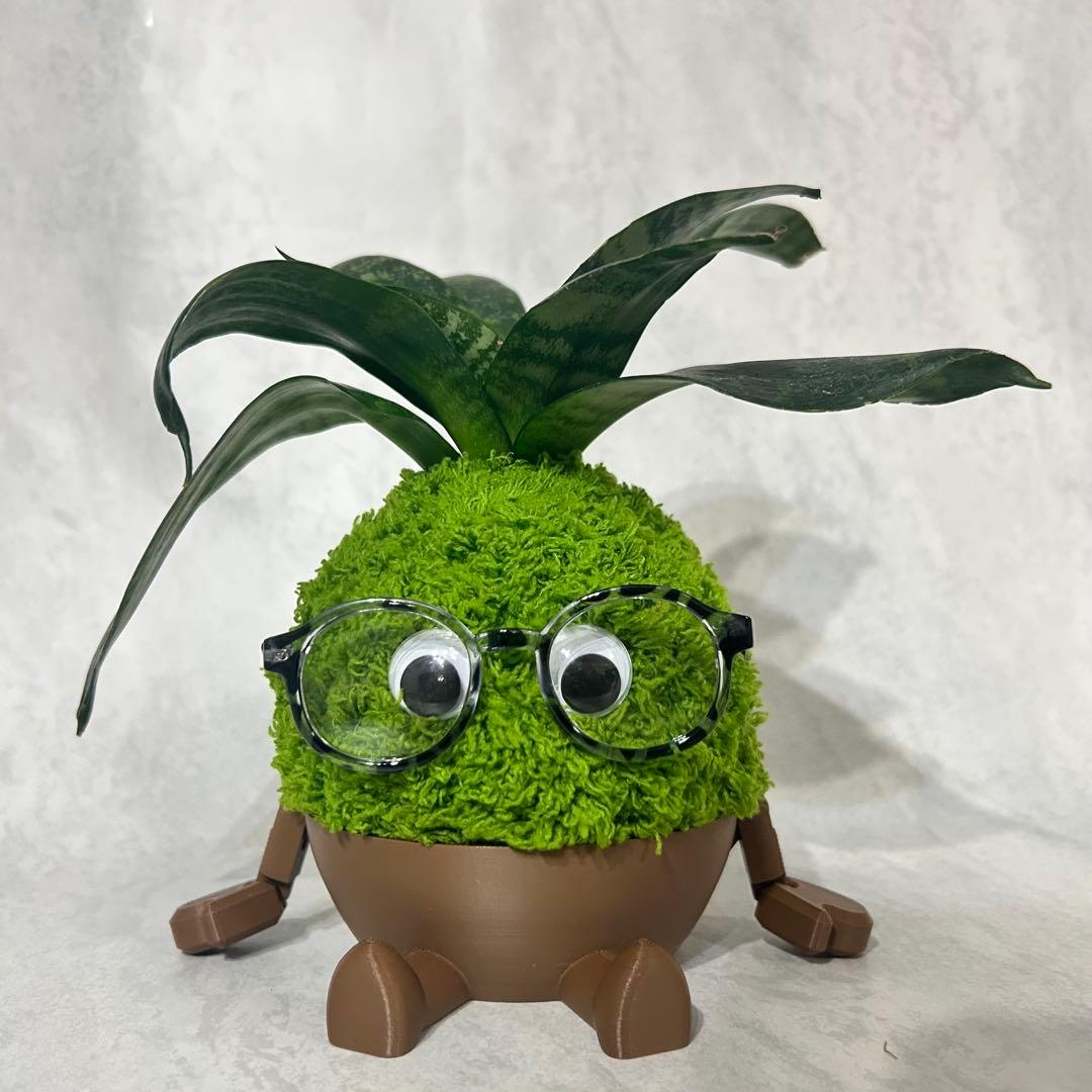 デカモン(オリジナル苔玉モンスター)グリーン