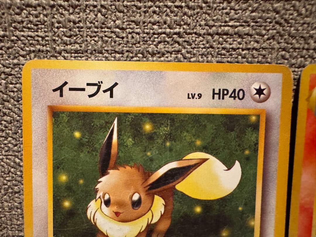 (旧裏モンボ＋渦巻きホロ)イーブイとブースター