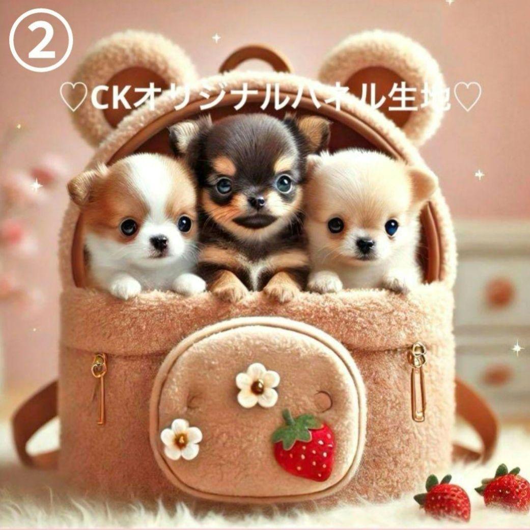 y꙳★*゜購入前に一言お願いします！　①